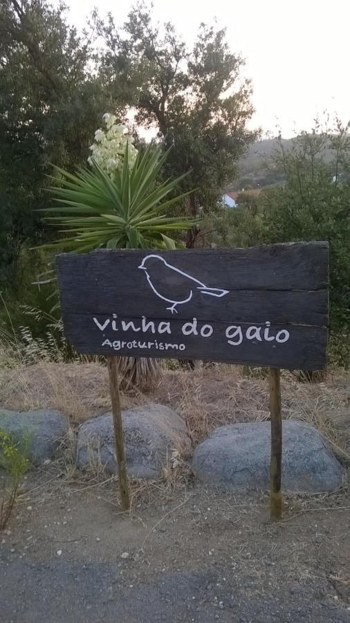 Vila Vinha Do Gaio Montes de Cima Exteriér fotografie