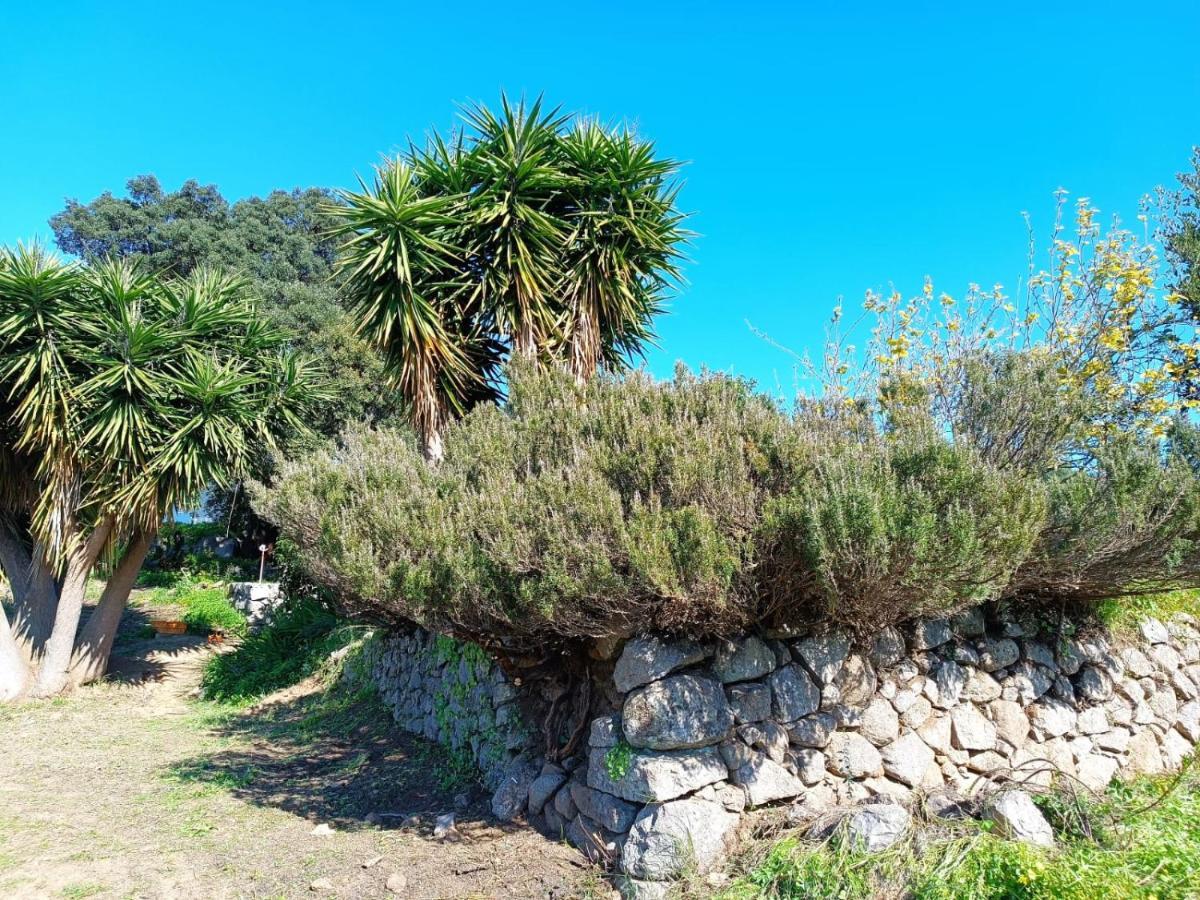 Vila Vinha Do Gaio Montes de Cima Exteriér fotografie