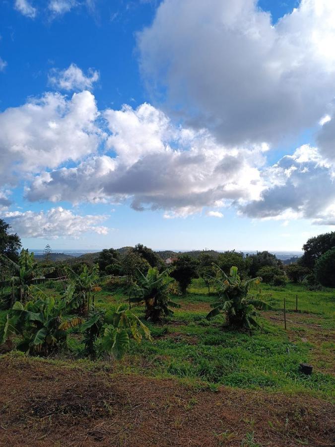 Vila Vinha Do Gaio Montes de Cima Exteriér fotografie